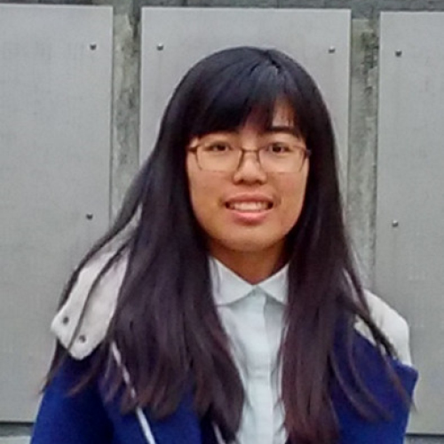 Pengxu Wei